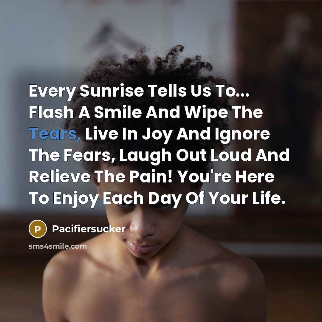 “Every Sunrise Tells Us To... Flash A Smile And Wipe…” quote by Pacifiersucker