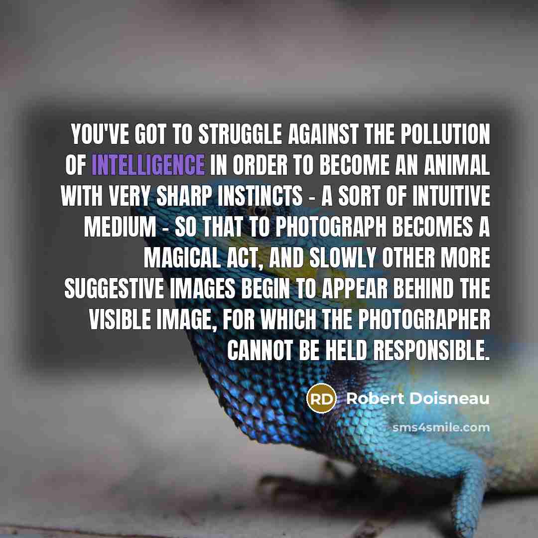 “You've got to struggle against the pollution of intelligence in…” quote by Robert Doisneau