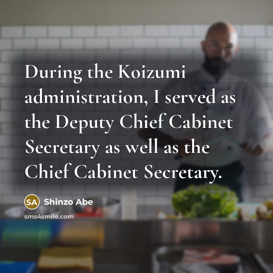 “During the Koizumi administration, I served as the Deputy Chief…” quote by Shinzo Abe