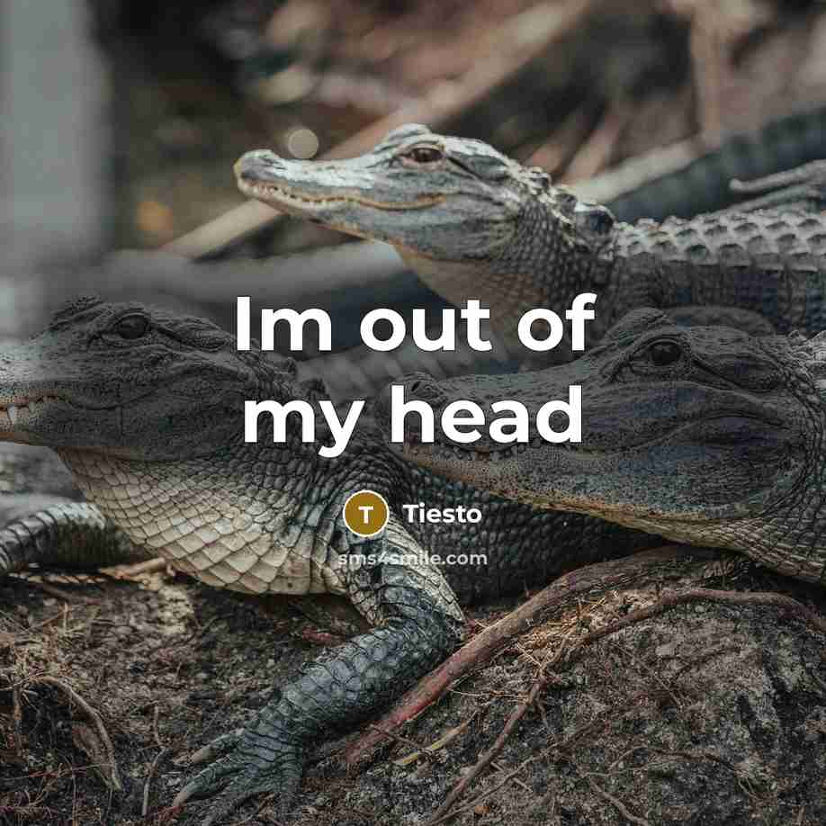 “Im out of my head” quote by Tiesto