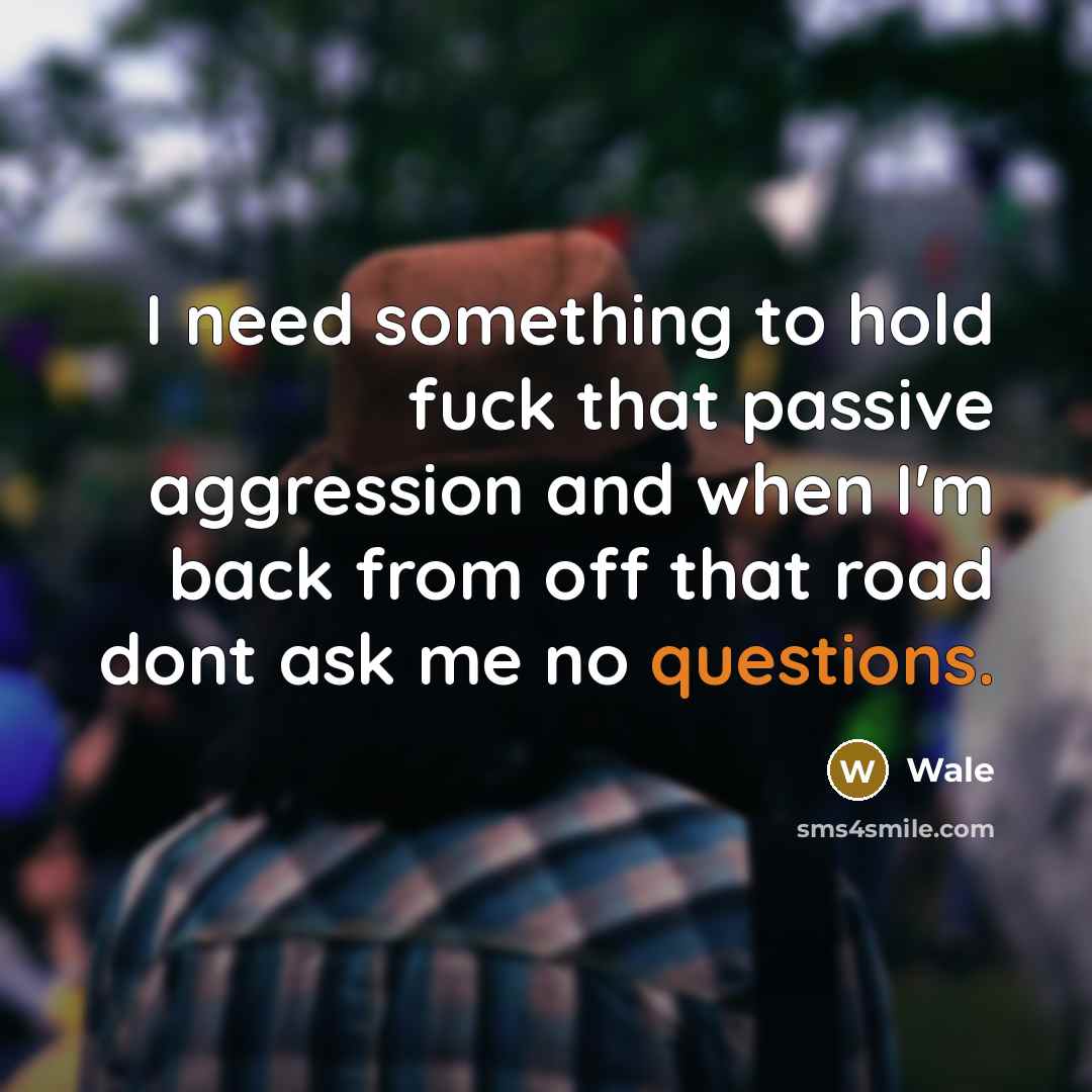 “I need something to hold fuck that passive aggression and when I'm back from off that road dont ask me no questions.” quote by Wale