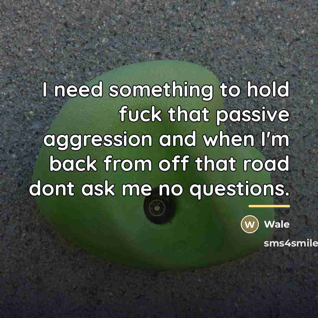 “I need something to hold fuck that passive aggression and…” quote by Wale