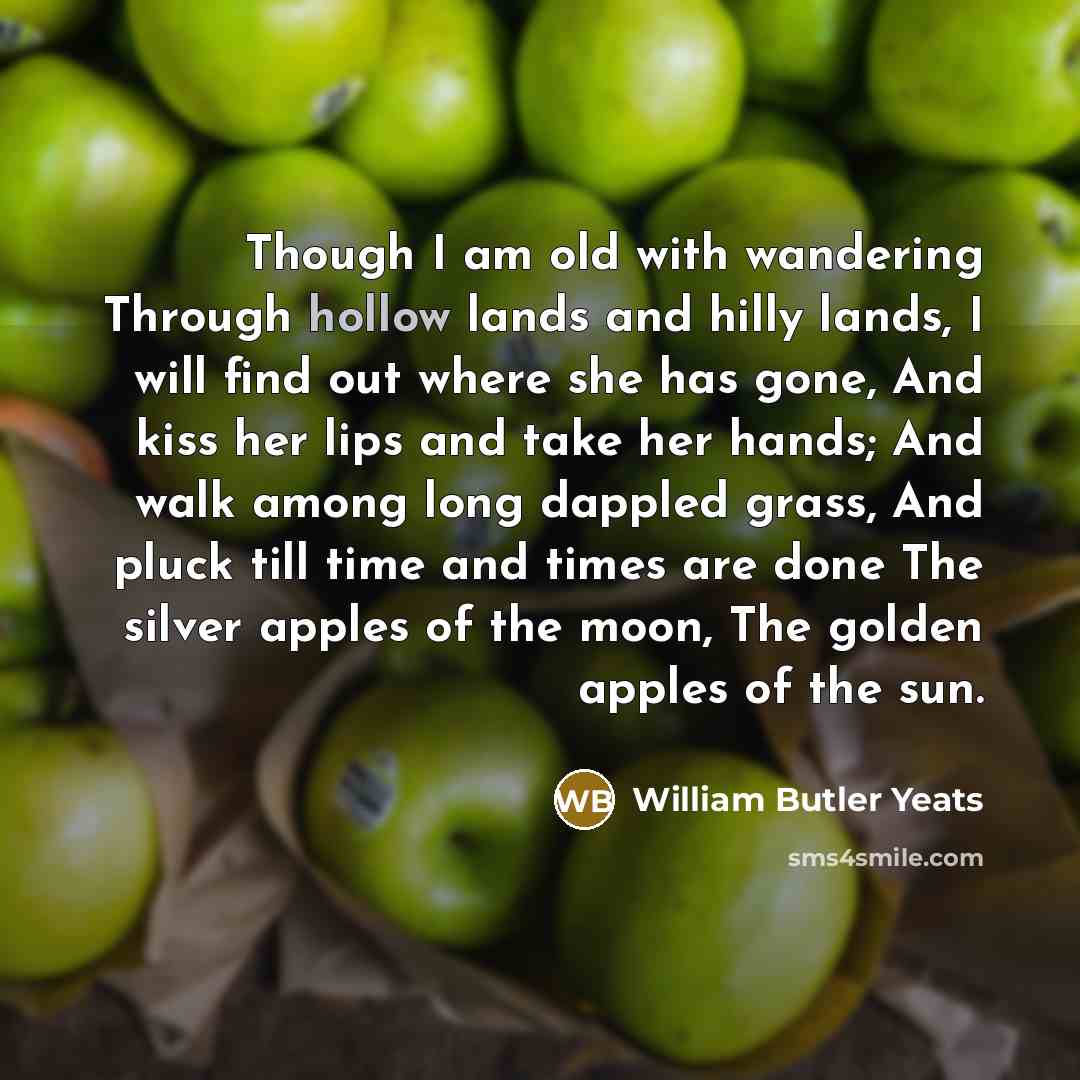 “Though I am old with wandering Through hollow lands and…” quote by William Butler Yeats
