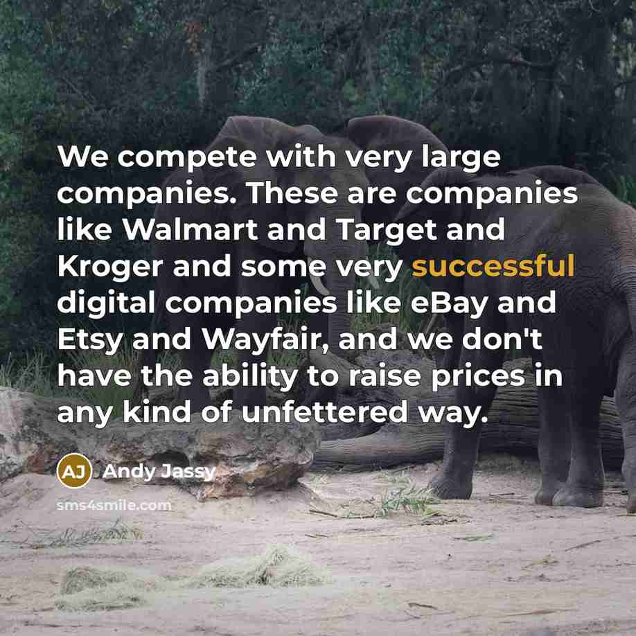 “We compete with very large companies. These are companies like…” quote by Andy Jassy