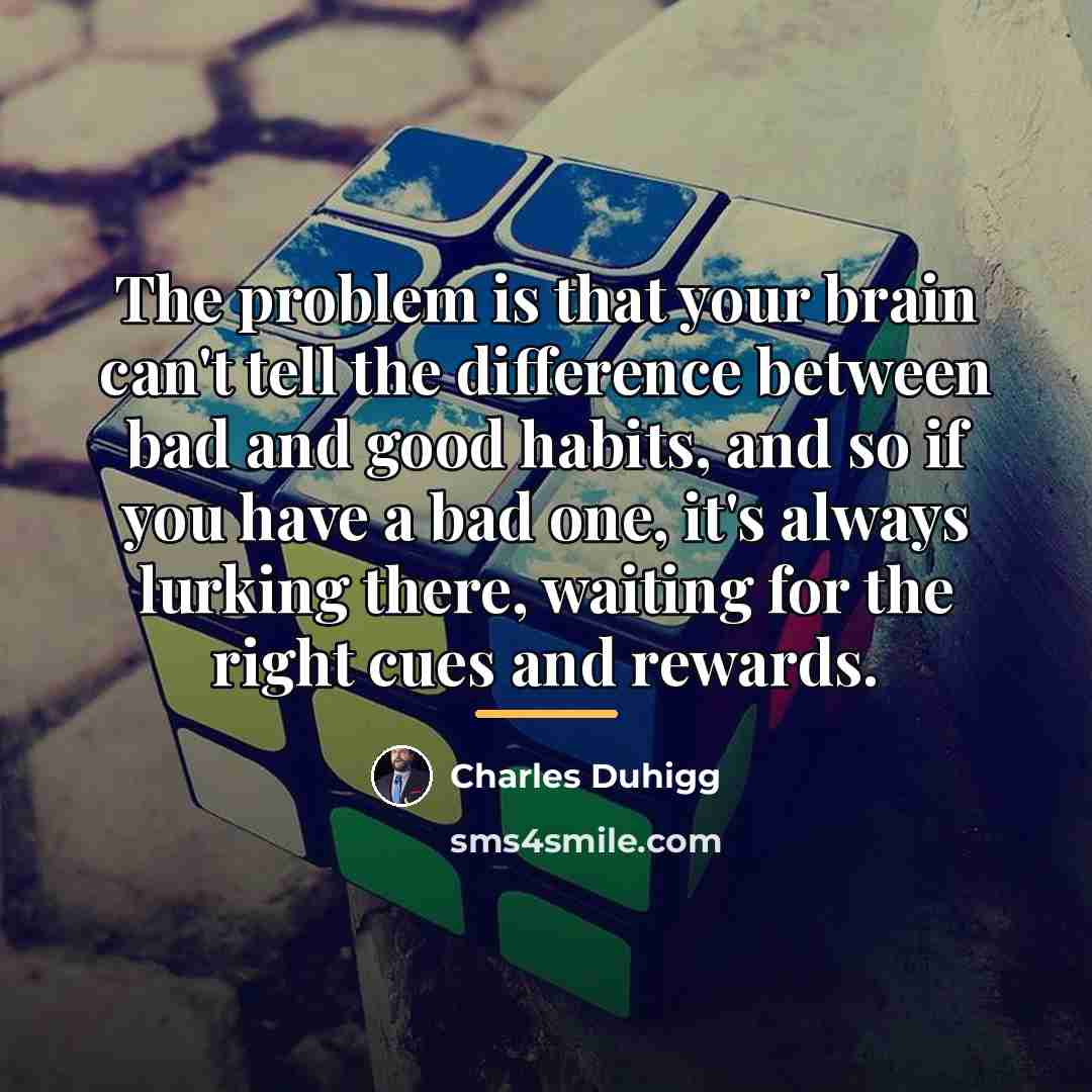 “The problem is that your brain can't tell the difference…” quote by Charles Duhigg