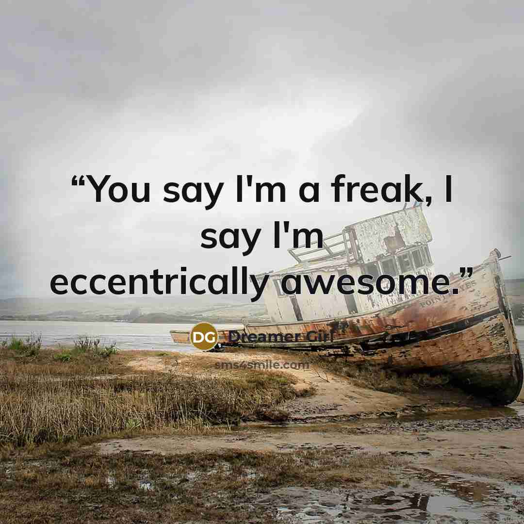 “You say I'm a freak, I say I'm eccentrically awesome.” quote by Dreamer Girl