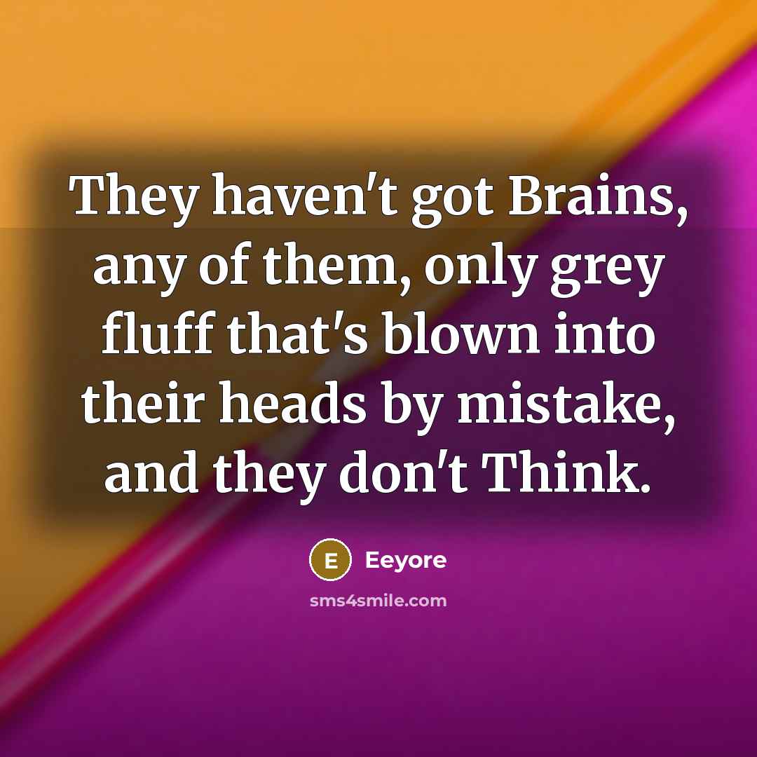 “They haven't got Brains, any of them, only grey fluff…” quote by Eeyore