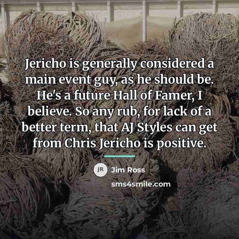 “Jericho is generally considered a main event guy, as he…” quote by Jim Ross