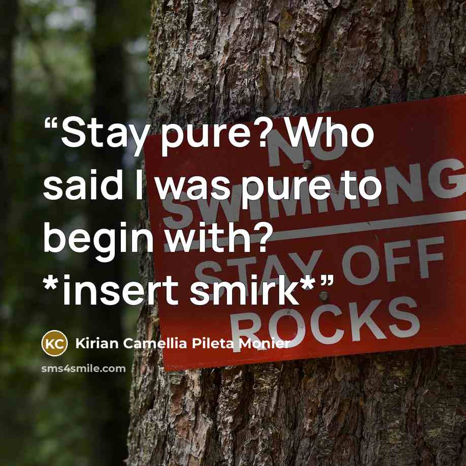 “Stay pure? Who said I was pure to begin with? *insert smirk*” quote by Kirian Camellia Pileta Monier