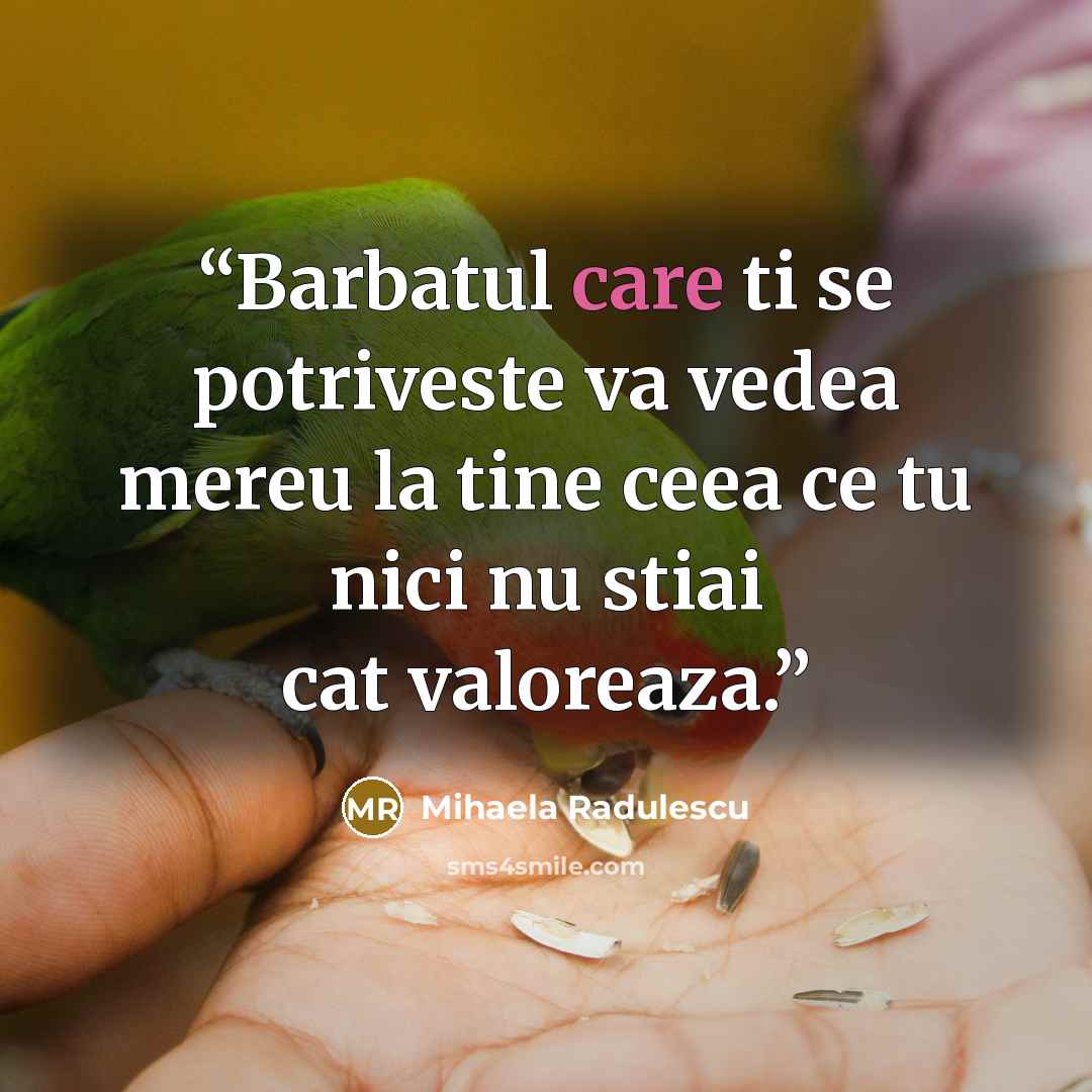 “Barbatul care ti se potriveste va vedea mereu la tine ceea ce tu nici nu stiai cat valoreaza.” quote by Mihaela Radulescu