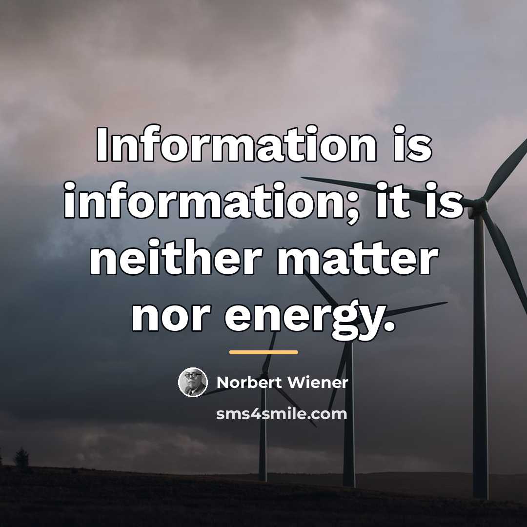 “Information is information; it is neither matter nor energy.…” quote by Norbert Wiener