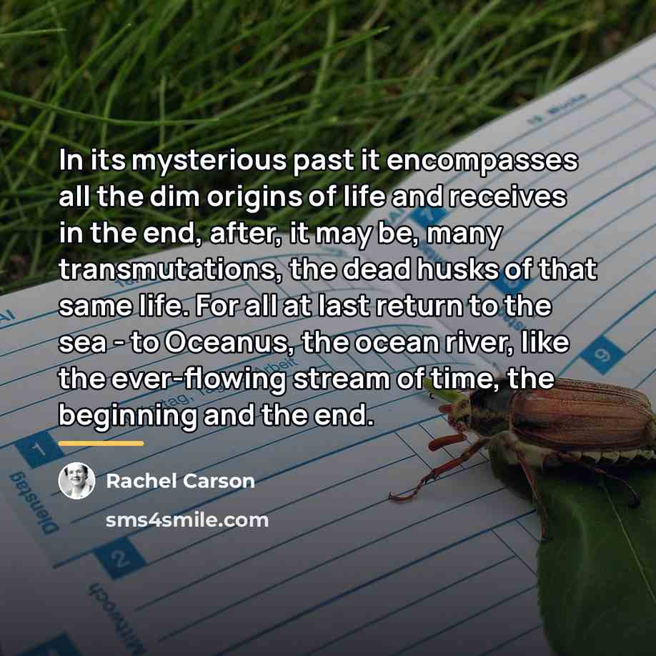 “In its mysterious past it encompasses all the dim origins…” quote by Rachel Carson