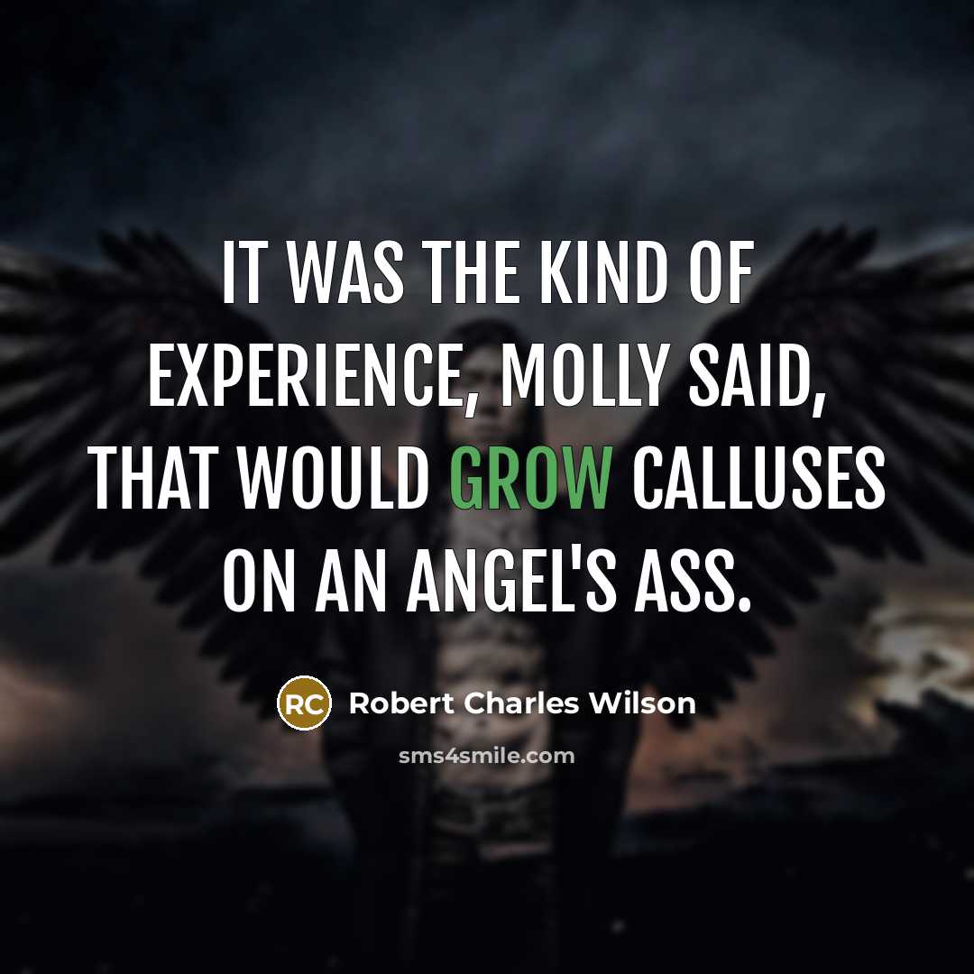 “It was the kind of experience, Molly said, that would…” quote by Robert Charles Wilson