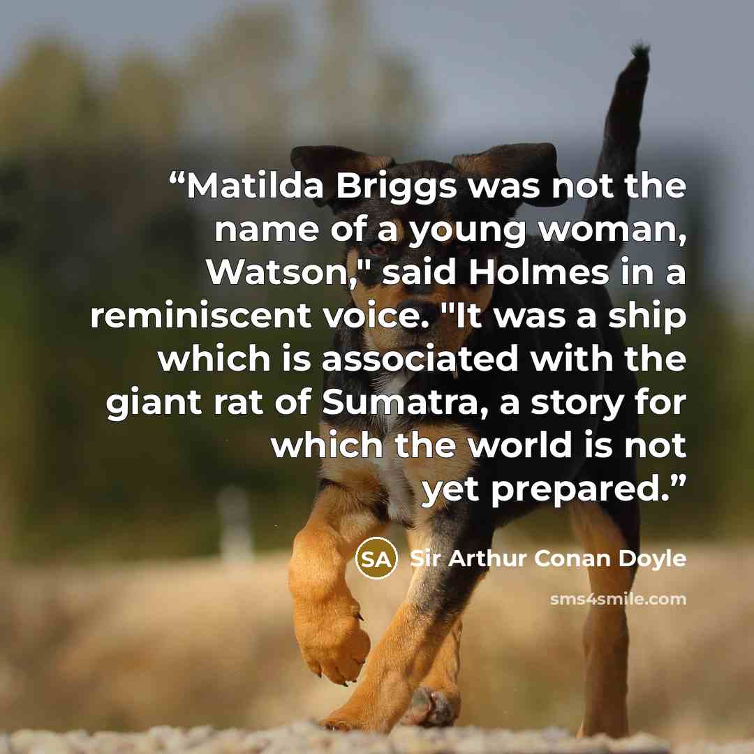 “Matilda Briggs was not the name of a young woman, Watson," said Holmes in a reminiscent voice. "It was a ship which is associated with the giant rat of Sumatra, a story for which the world is not yet prepared.” quote by Sir Arthur Conan Doyle