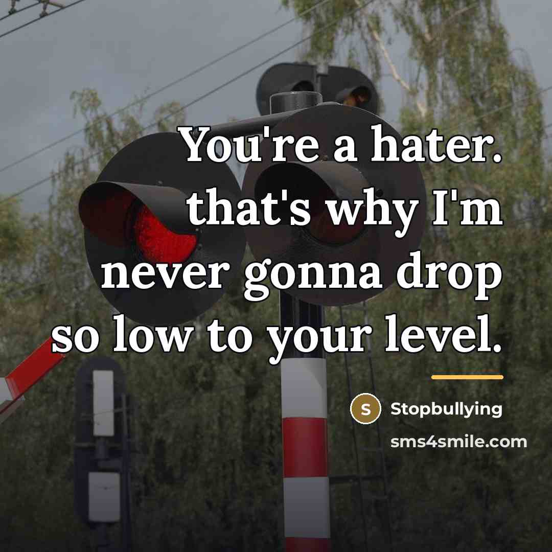 “You're a hater. that's why I'm never gonna drop so…” quote by Stopbullying