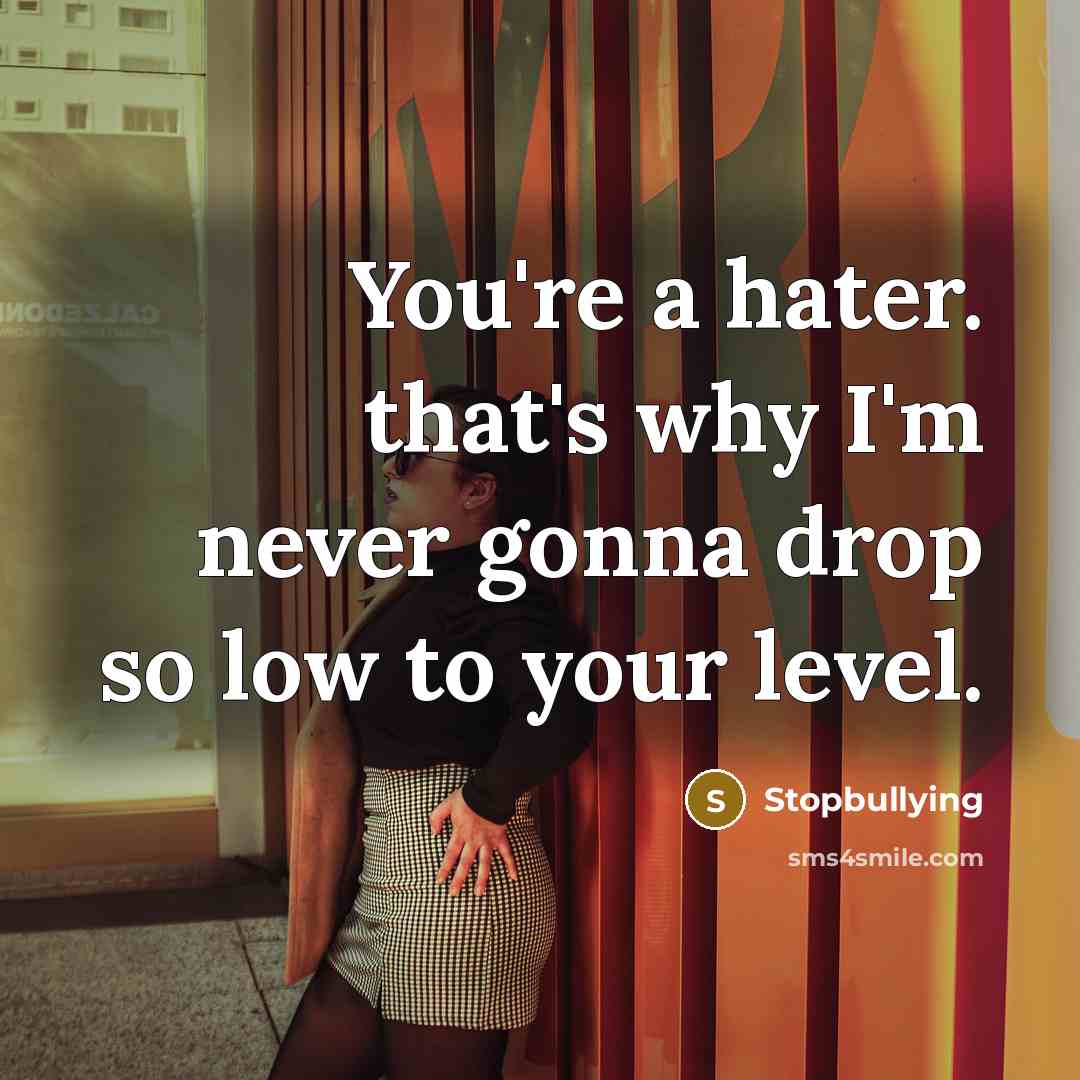 “You're a hater. that's why I'm never gonna drop so low to your level.” quote by Stopbullying