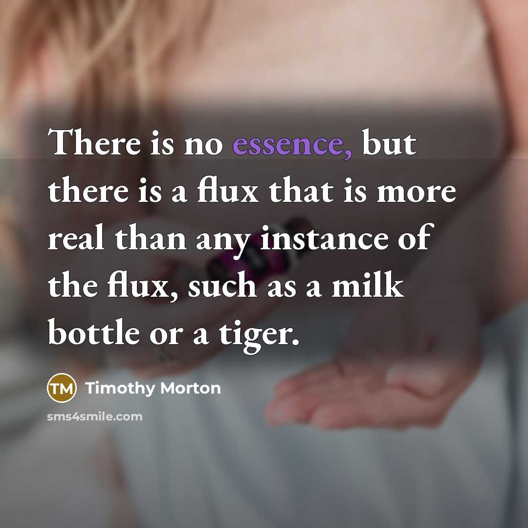 “There is no essence, but there is a flux that…” quote by Timothy Morton