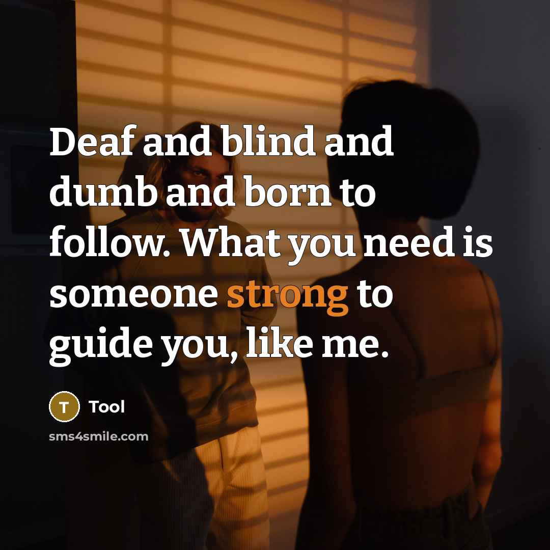 “Deaf and blind and dumb and born to follow. What you need is someone strong to guide you, like me.” quote by Tool