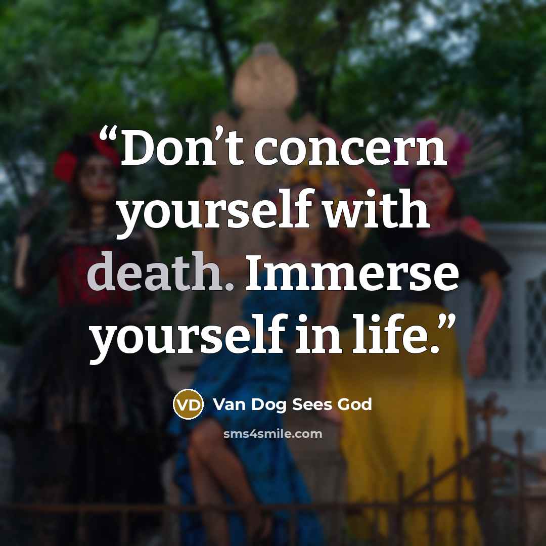 “Don’t concern yourself with death. Immerse yourself in life.” quote by Van Dog Sees God