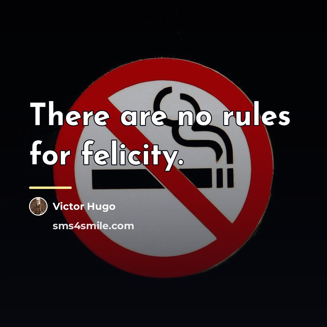 “There are no rules for felicity.…” quote by Victor Hugo