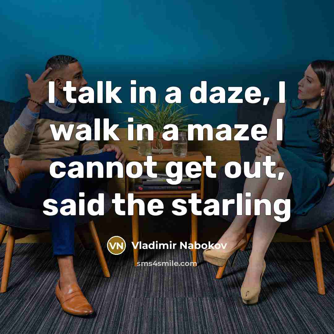 “I talk in a daze, I walk in a maze…” quote by Vladimir Nabokov