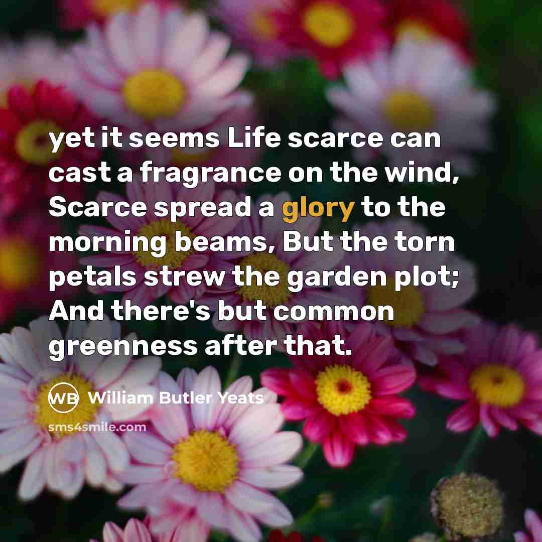“yet it seems Life scarce can cast a fragrance on…” quote by William Butler Yeats