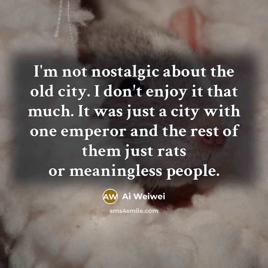 “I'm not nostalgic about the old city. I don't enjoy…” quote by Ai Weiwei