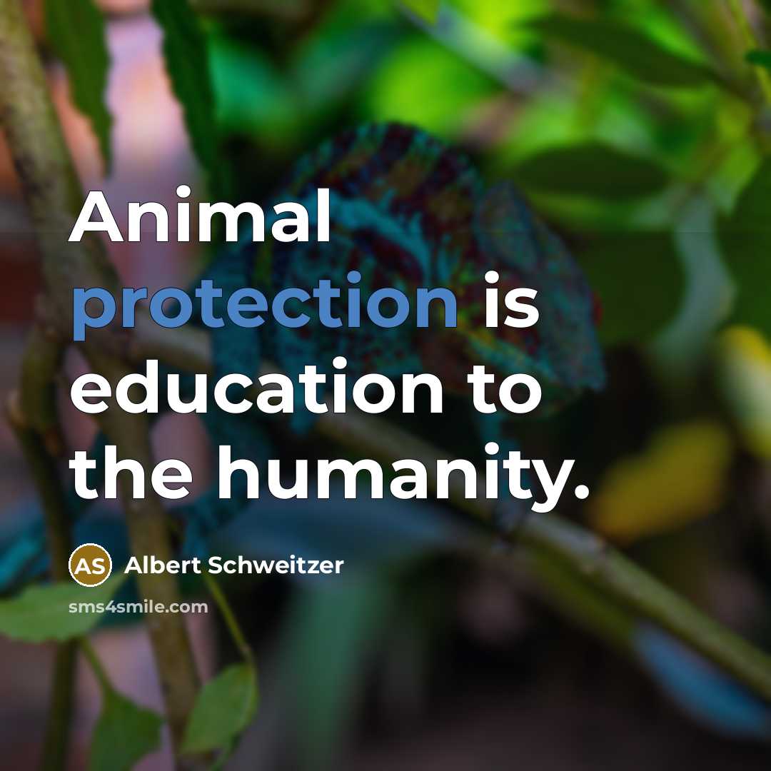 “Animal protection is education to the humanity.…” quote by Albert Schweitzer