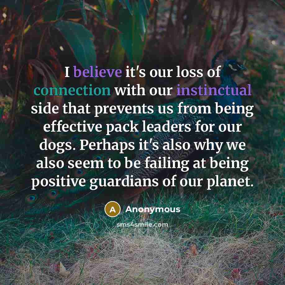 “I believe it's our loss of connection with our instinctual side that prevents us from being effective pack leaders for our dogs. Perhaps it's also why we also seem to be failing at being positive guardians of our planet.” quote by Anonymous