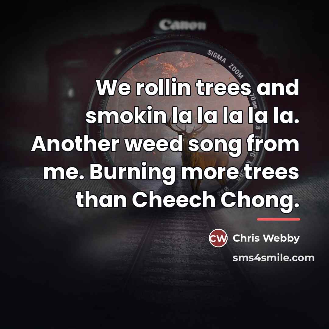“We rollin trees and smokin la la la la la.…” quote by Chris Webby