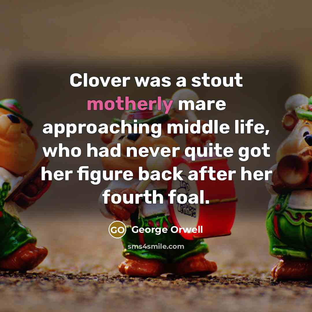 “Clover was a stout motherly mare approaching middle life, who had never quite got her figure back after her fourth foal.” quote by George Orwell