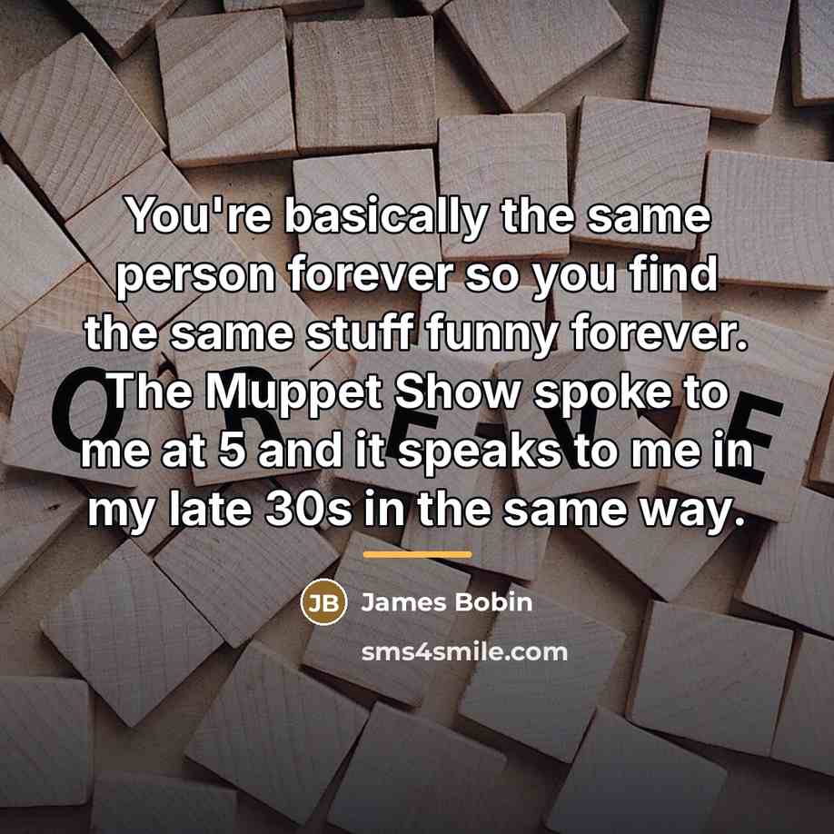 “You're basically the same person forever so you find the…” quote by James Bobin