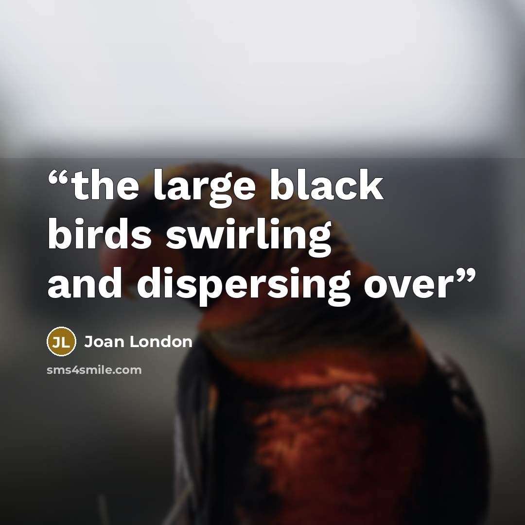 “the large black birds swirling and dispersing over” quote by Joan London