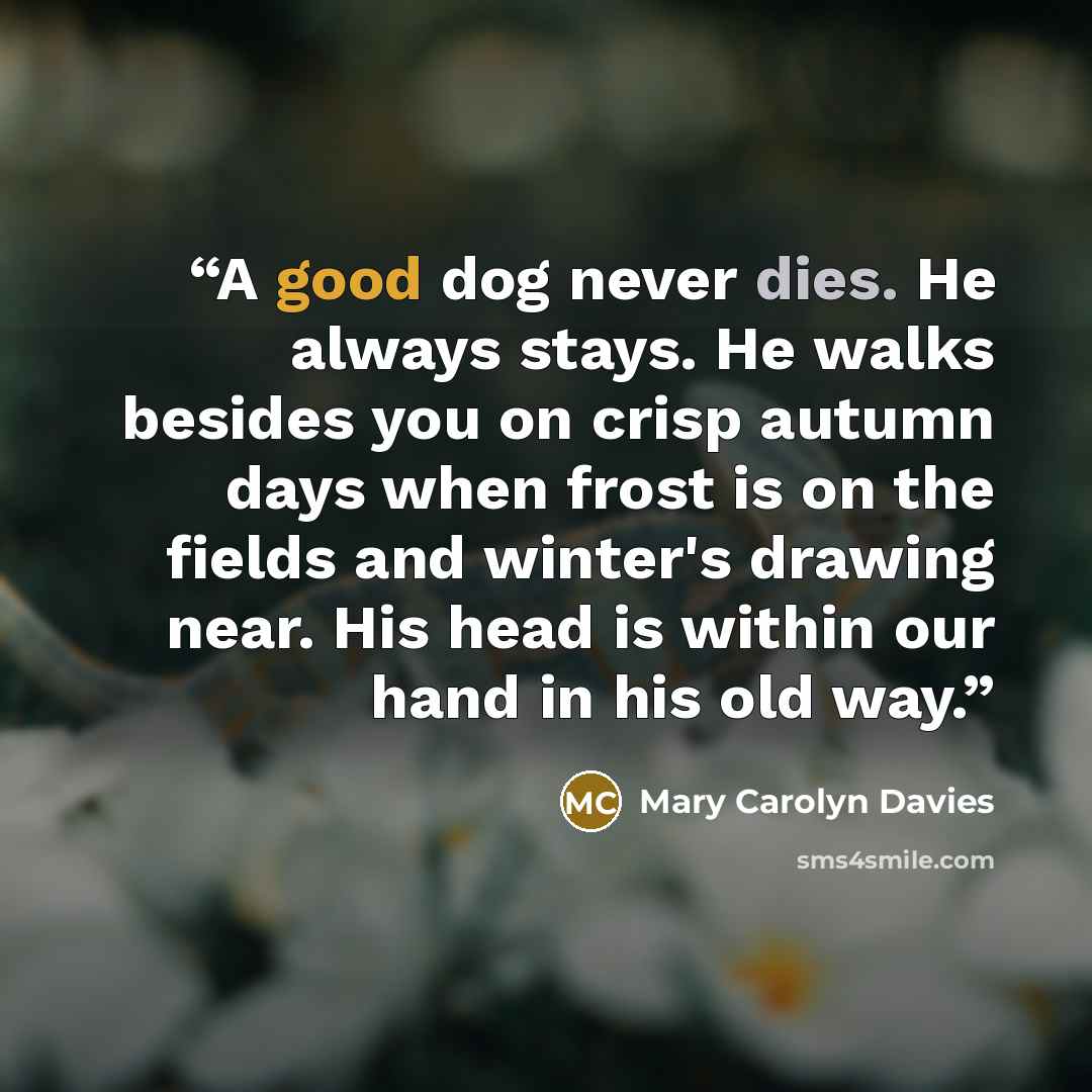 “A good dog never dies. He always stays. He walks besides you on crisp autumn days when frost is on the fields and winter's drawing near. His head is within our hand in his old way.” quote by Mary Carolyn Davies