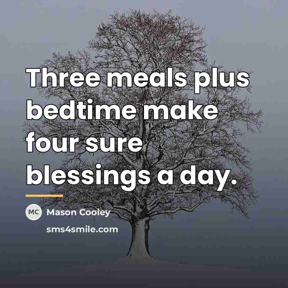“Three meals plus bedtime make four sure blessings a day.…” quote by Mason Cooley