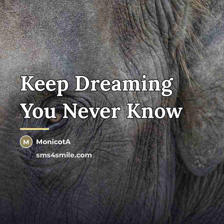 “Keep Dreaming You Never Know…” quote by MonicotA