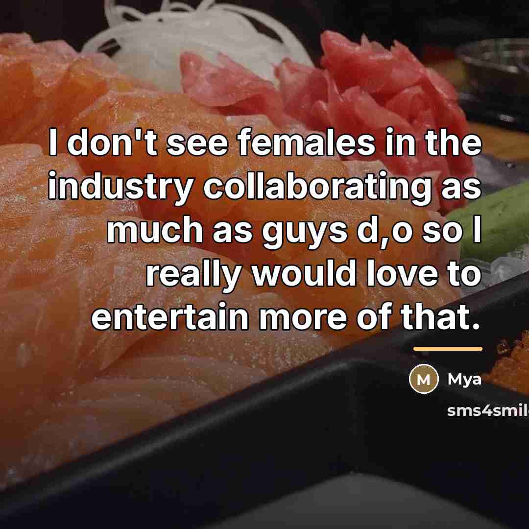 “I don't see females in the industry collaborating as much…” quote by Mya
