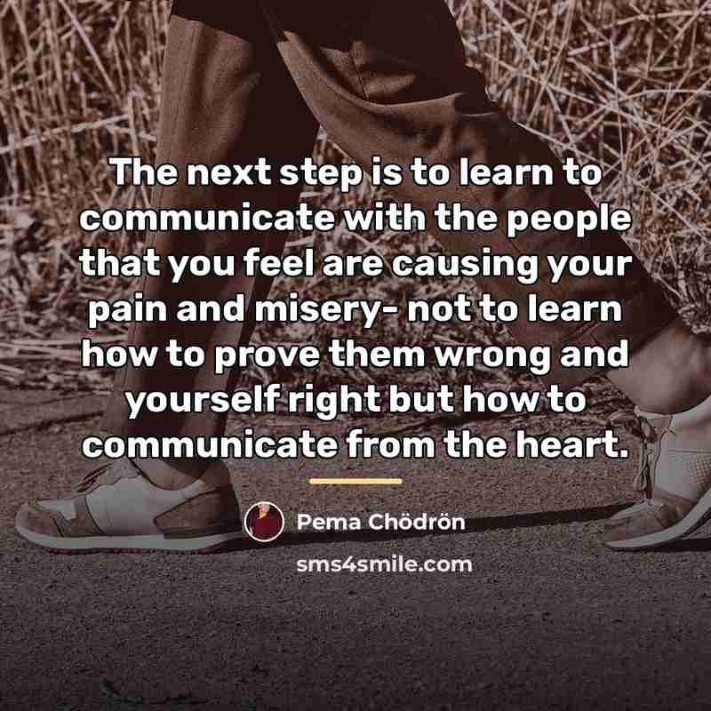 “The next step is to learn to communicate with the…” quote by Pema Chodron