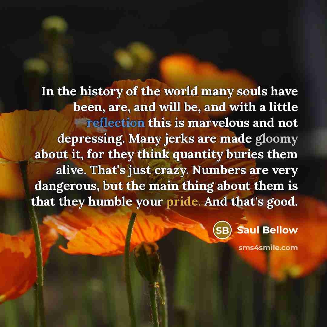 “In the history of the world many souls have been,…” quote by Saul Bellow