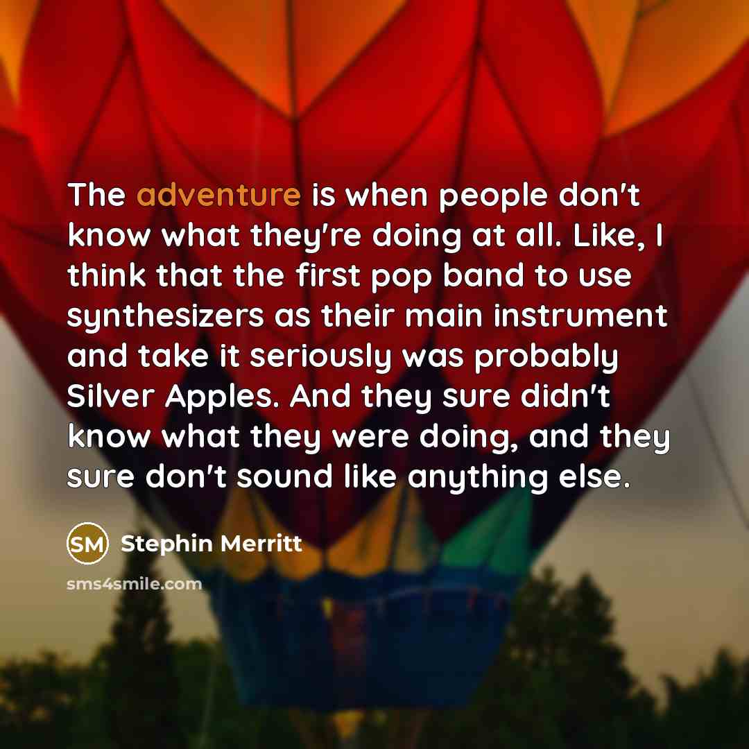 “The adventure is when people don't know what they're doing…” quote by Stephin Merritt
