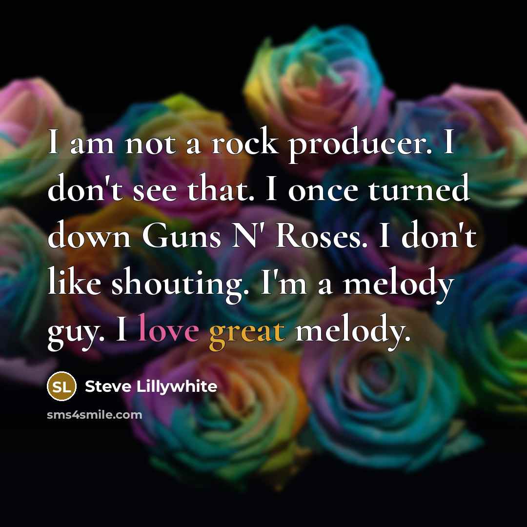 “I am not a rock producer. I don't see that.…” quote by Steve Lillywhite