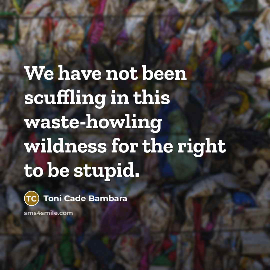 “We have not been scuffling in this waste-howling wildness for…” quote by Toni Cade Bambara