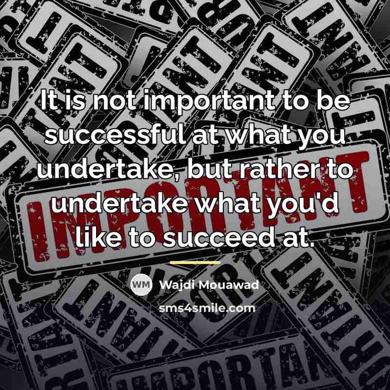 “It is not important to be successful at what you…” quote by Wajdi Mouawad