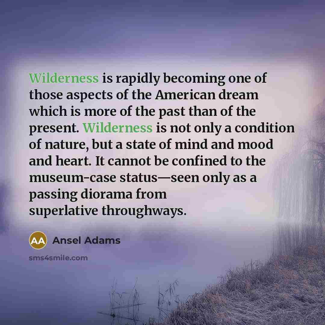 “Wilderness is rapidly becoming one of those aspects of the…” quote by Ansel Adams