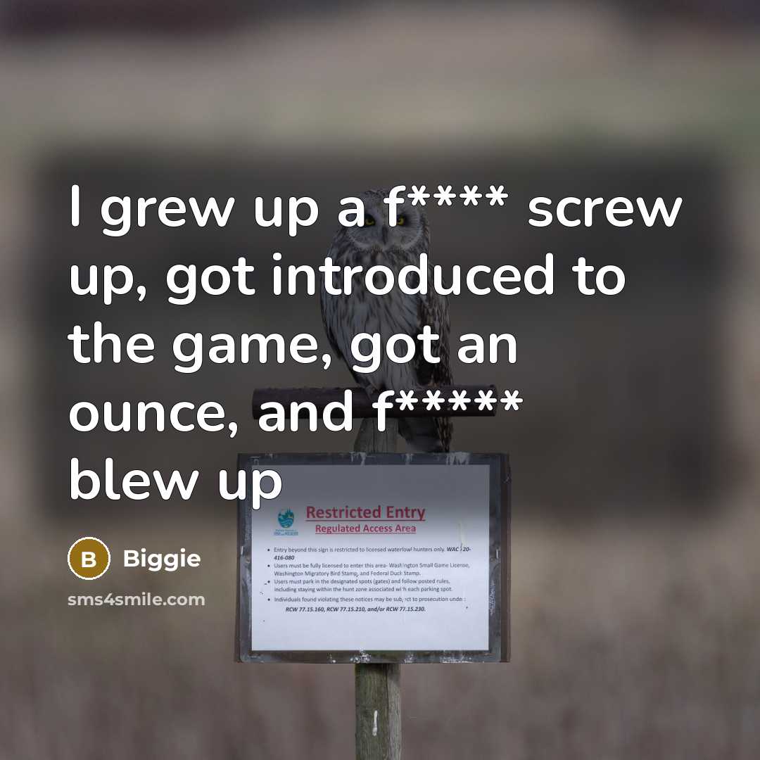 “I grew up a f**** screw up, got introduced to…” quote by Biggie