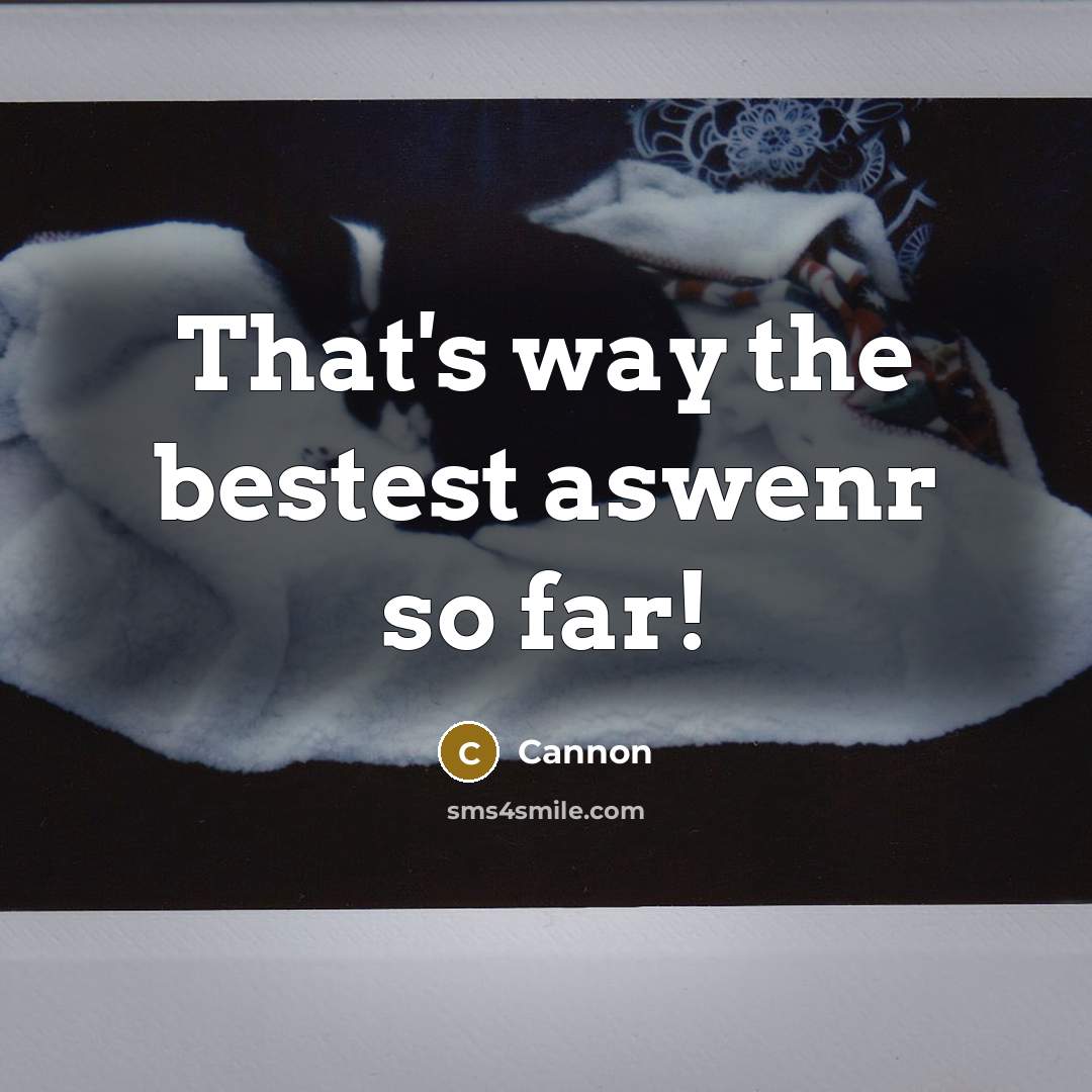 “That's way the bestest aswenr so far!” quote by Cannon