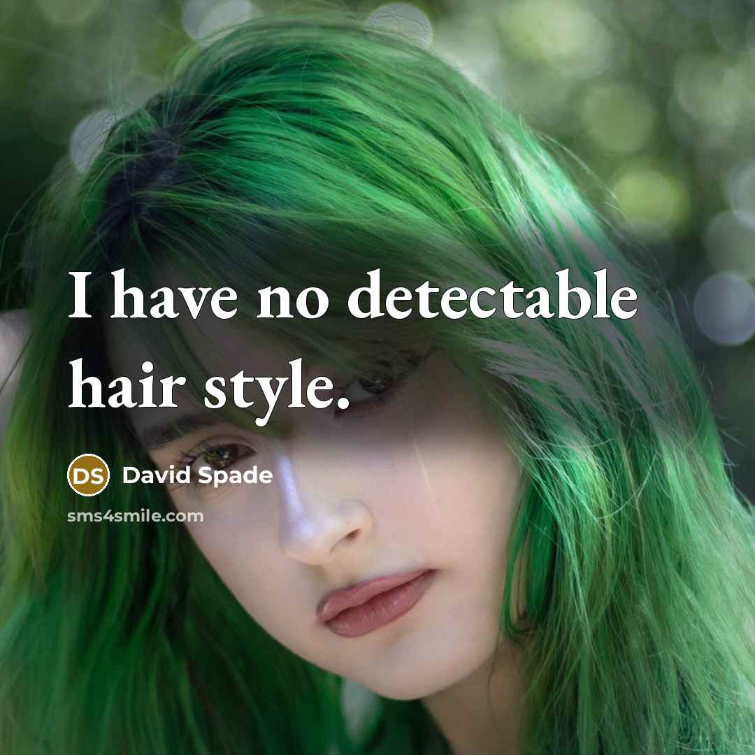 “I have no detectable hair style.…” quote by David Spade