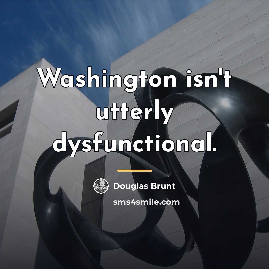 “Washington isn't utterly dysfunctional.…” quote by Douglas Brunt