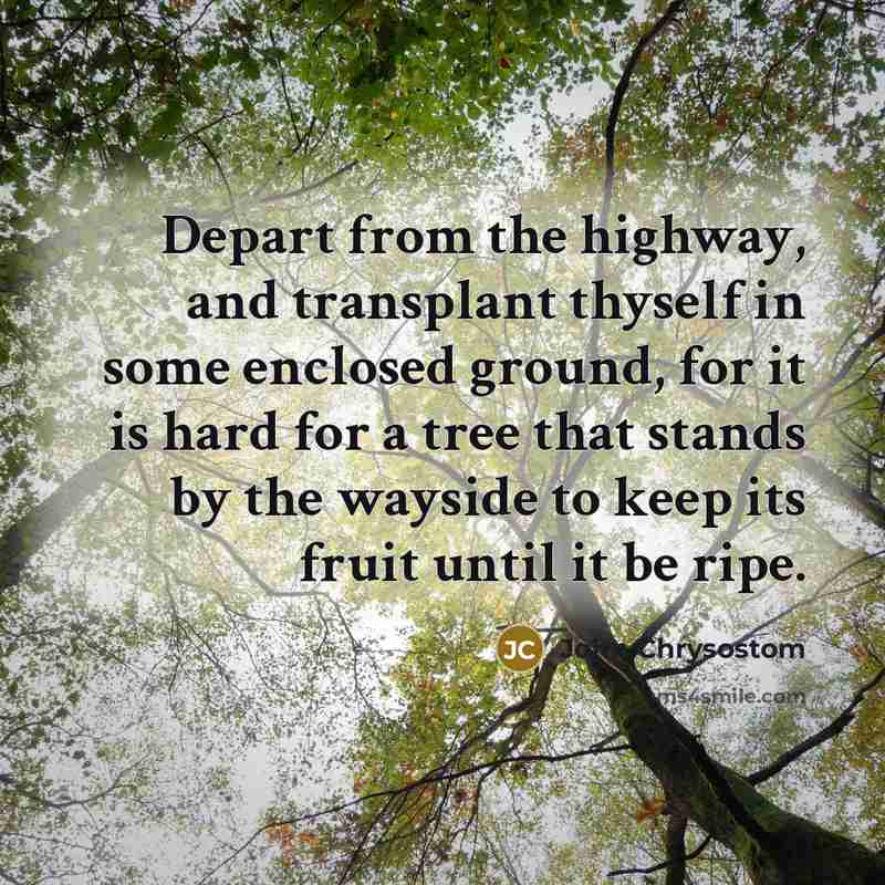 “Depart from the highway, and transplant thyself in some enclosed ground, for it is hard for a tree that stands by the wayside to keep its fruit until it be ripe.” quote by John Chrysostom