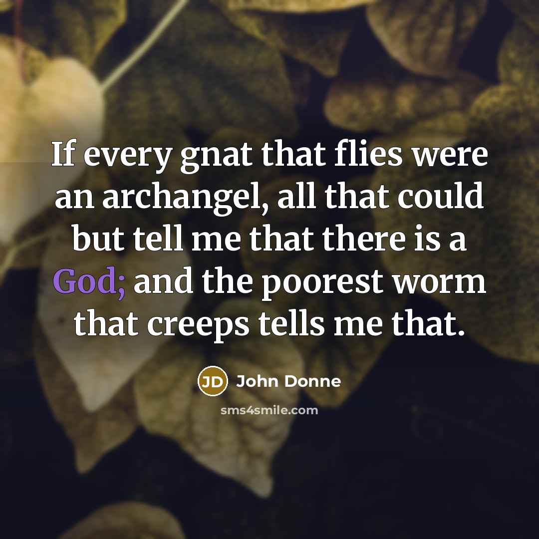 “If every gnat that flies were an archangel, all that…” quote by John Donne